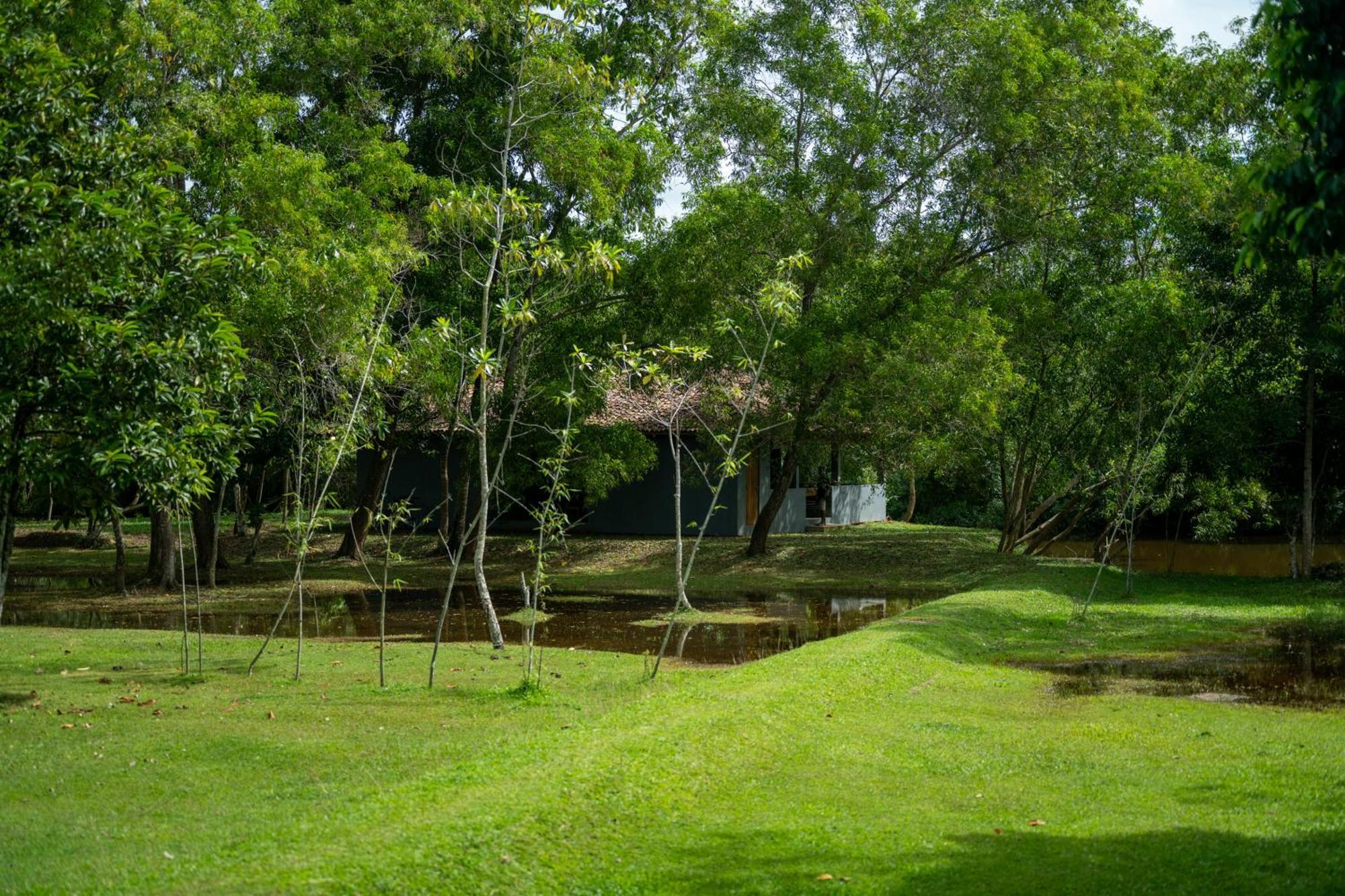 Hotel Wirdana & 5*